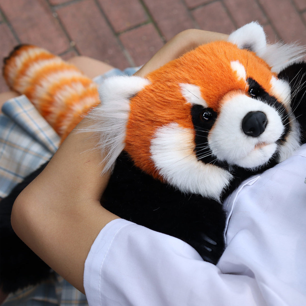 Weighted Red Panda Plush (2.5 lb)