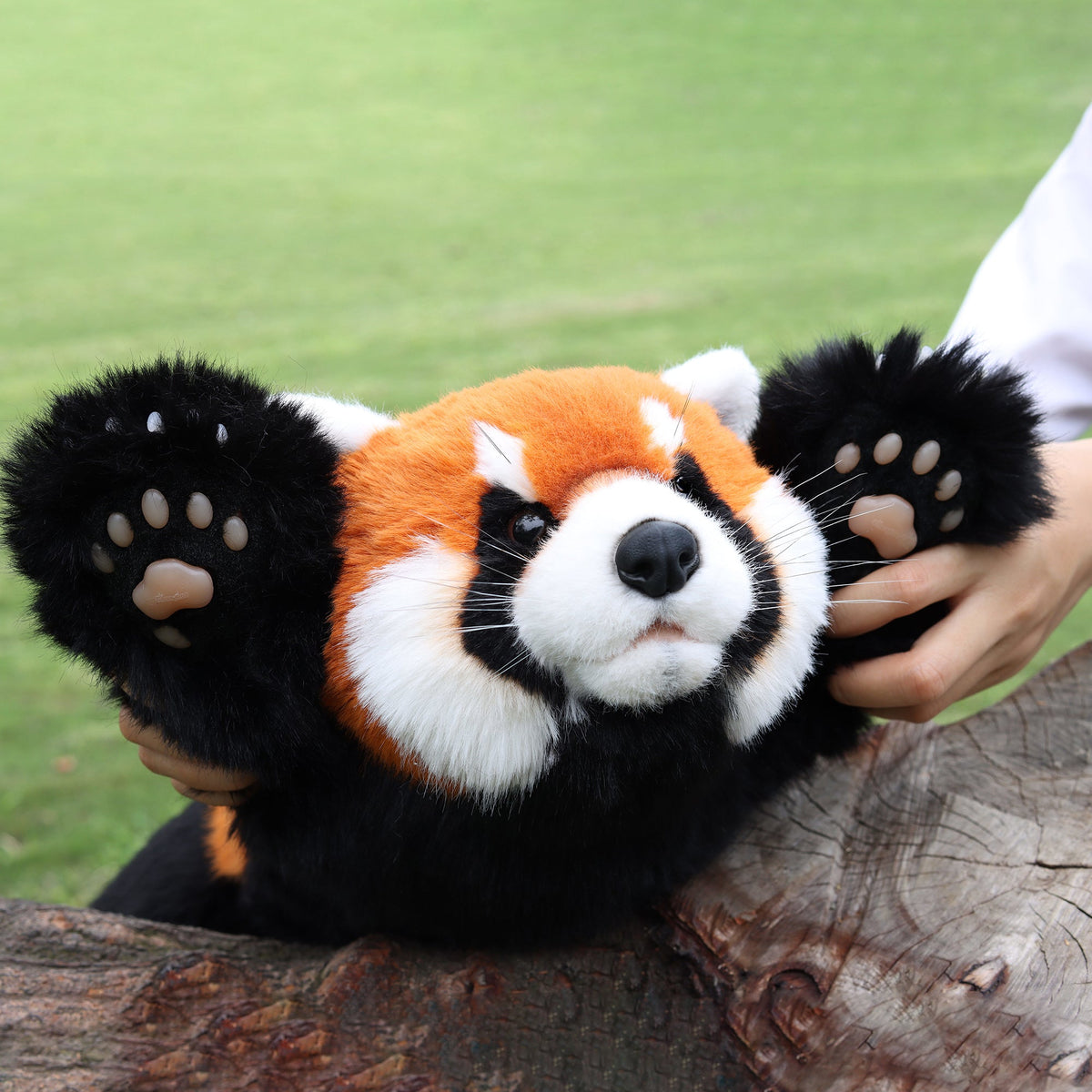 Weighted Red Panda Plush (2.5 lb)