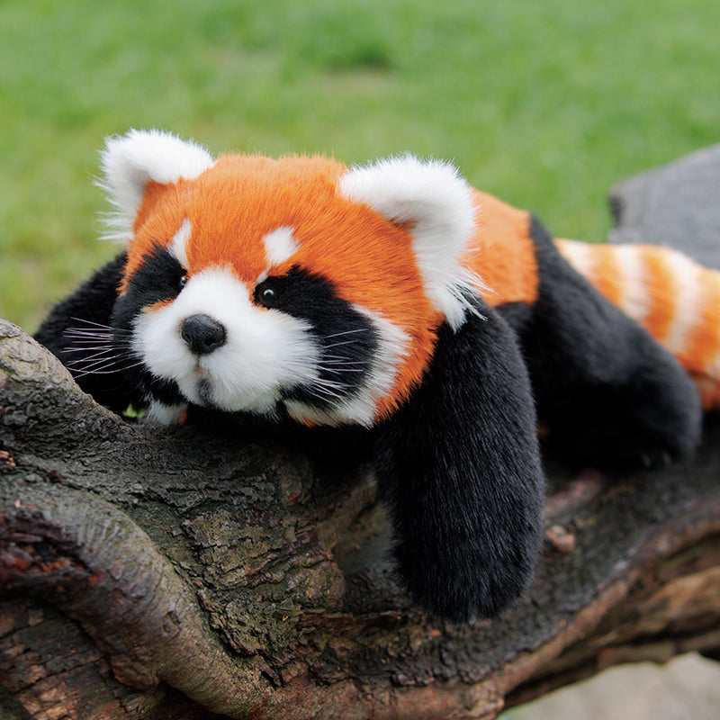 Weighted Red Panda Plush (2.5 lb)