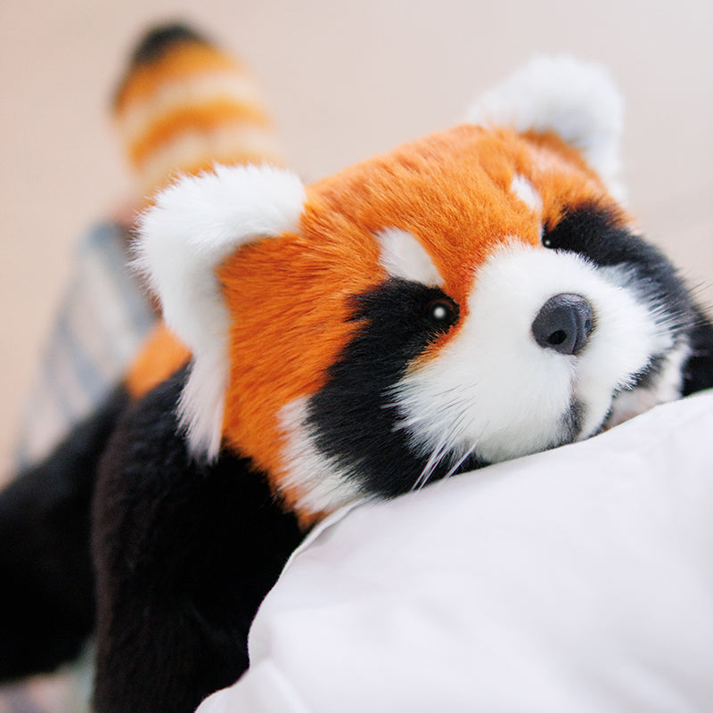 Weighted Red Panda Plush (2.5 lb)
